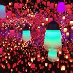 Profile Picture of Amber Morales (@kohakubara) on Instagram