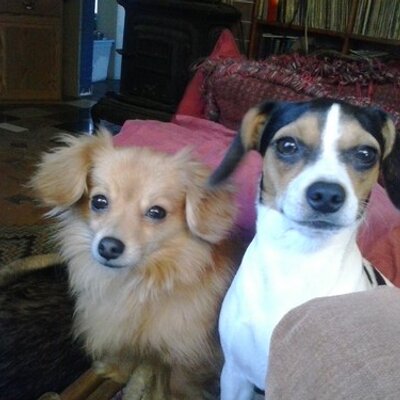 Profile Picture of Brad Polley (@remybrp1020) on Twitter