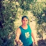 Profile Picture of Michael Haupt (@michael_haupt) on Instagram