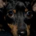 Profile Picture of Mac Mclean (@mac.mclean.986) on Facebook