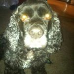 Profile Picture of christa chapman (@chapmanchrista) on Instagram