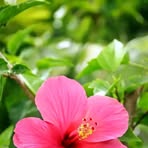 Profile Picture of Jisan Hosen (@Jisan-Hosen) on Facebook