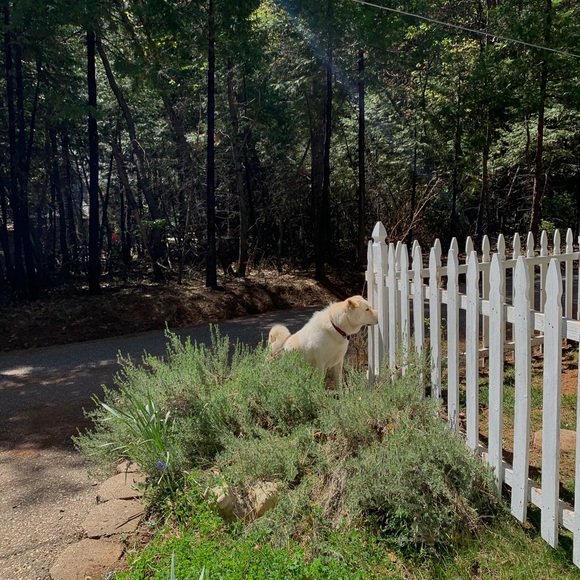 Profile Picture of Mya Mrozowski (@myamrozowski) on Poshmark