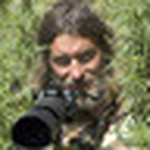 Profile Picture of Sergey Yeliseev (@Sergey Yeliseev) on Flickr