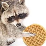 Profile Picture of Aaron McCarty (@a_b_m_0_2_4) on Instagram