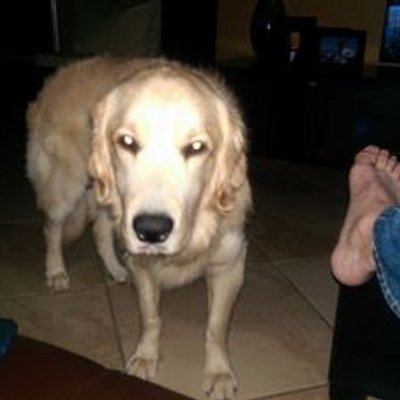 Profile Picture of Robert Neher (@rdneher) on Twitter