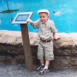 Profile Picture of Shane McBride (@smcbride02) on Instagram