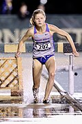 Profile Picture of Allie Ostrander - Wikipediaon Wikipedia