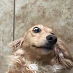 Profile Picture of Austin Jeffries (@austinjeffries159) on Instagram