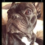 Profile Picture of jason (@smockerweed94) on Instagram