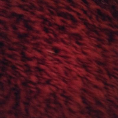 Profile Picture of IDon'tPracticeSanteria (@AndrewMyronMor2) on Twitter