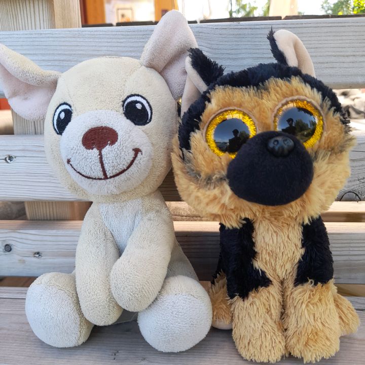 Profile Picture of JerryoochSpirit (@jerryoochspirit) on Tiktok