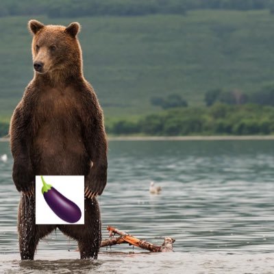 Profile Picture of Grizzly Bear Dick On Deck 313  🐻 (@FATDIKGRIZLY313) on Twitter
