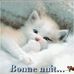 Profile Picture of Jean Claude Luciani (@jeanclaude.luciani.92) on Facebook