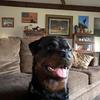 Profile Picture of Lora Thompson (@@lorathompson65) on Tiktok