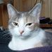Profile Picture of Leigh Hooper (@leigh.hooper.549) on Facebook