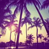 Profile Picture of Kate Finn (@kate-finn-28) on Quora