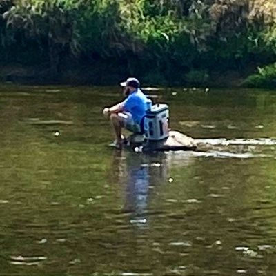 Profile Picture of W. David Merryman (@merrymanlab) on Twitter
