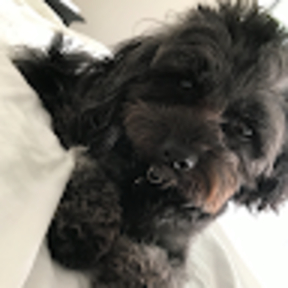 Profile Picture of Lila Lanigan (@lilalanigan) on Poshmark