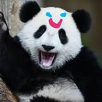 Profile Picture of Kevin Lewicki (@kevin.lewicki.3) on Facebook