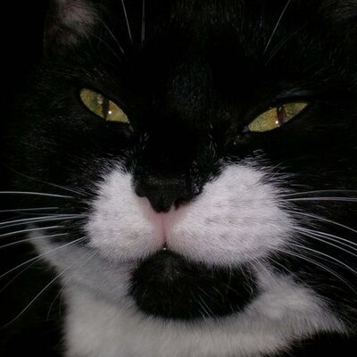Profile Picture of Charlene (@blakely) on Twitter