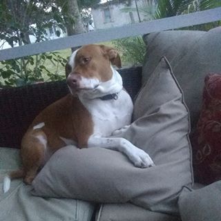 Profile Picture of Doris Conklin (@doris.conklin.1848) on Facebook