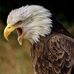 Profile Picture of Kevin Ringler (@kevin.ringler.1) on Facebook