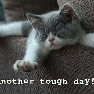 Profile Picture of Alvaro Zermeno (@alvaro_delRey_) on Twitter