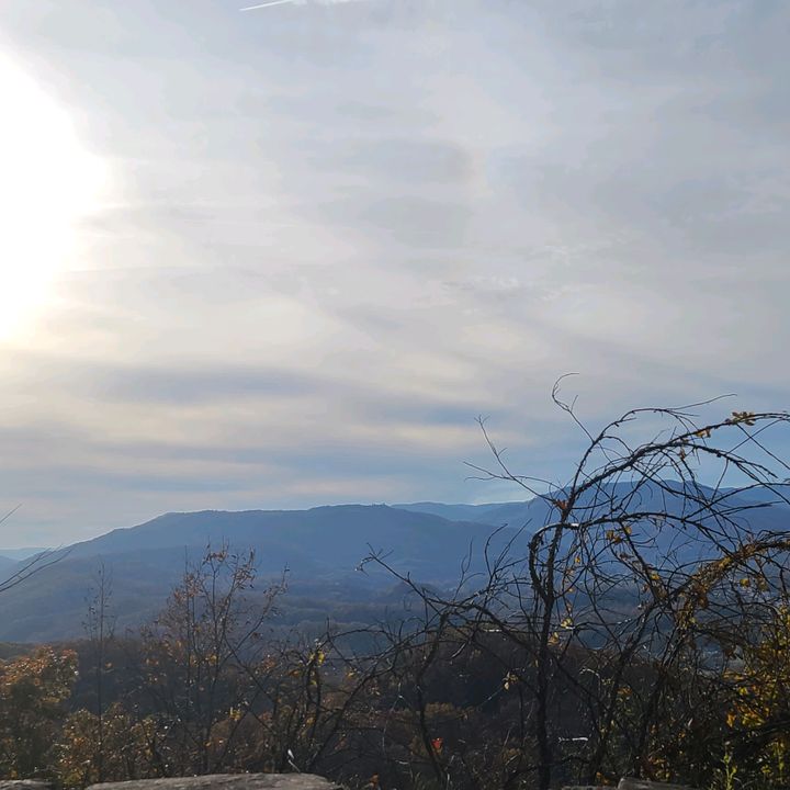 Profile Picture of Edward McLain (@@eddiemc1681) on Tiktok