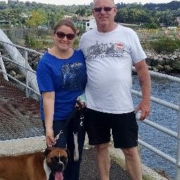 Profile Picture of Paula McCarthy (@Paula7301969) on Twitter
