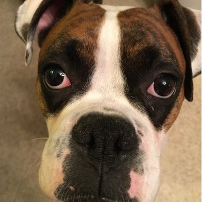 Profile Picture of Joe Alls (@jocephus70) on Twitter