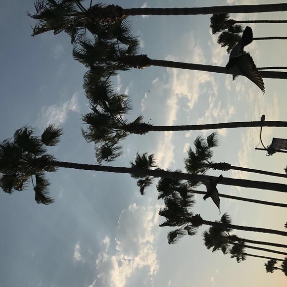 Profile Picture of Andreina Meza (@andreina562) on Poshmark