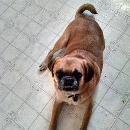 Profile Picture of Robin Yoder (@robinmarie1204) on Twitter