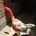 Profile Picture of Peter Điệp (@nguyen.erick.77) on Facebook