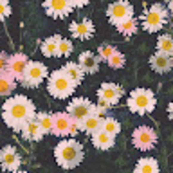 Profile Picture of Allyson Shaffer (@25ashaffer) on Poshmark