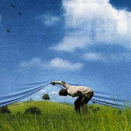 Profile Picture of Clare Macaulay (@ALSmissmac) on Twitter