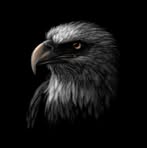 Profile Picture of James Trumbull (@james.trumbull.3591) on Facebook