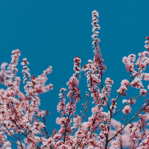 Profile Picture of Morgan Foss (@mfoss6) on Poshmark