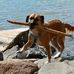 Profile Picture of Philip Judge (@philip.judge.161) on Facebook