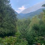 Profile Picture of Rita Antonelli (@arieldavidhutchins7021) on Instagram