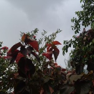 Géraldine Jean Félix - Twitter Profile Picture of Géraldine Jean Félix (@DidineFelix) on Twitter