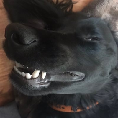 Profile Picture of Matt Smothers (@smothers1690) on Twitter