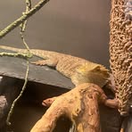 Profile Picture of Breanna Stiles (@Breanna-Stiles) on Facebook