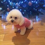 Profile Picture of Joanne Webster (@joannewebster1) on Instagram