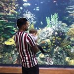 Profile Picture of Jeremy (@jeremyrooken) on Instagram