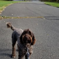 Profile Picture of Thomas Dymbort (@thomas-dymbort) on Quora