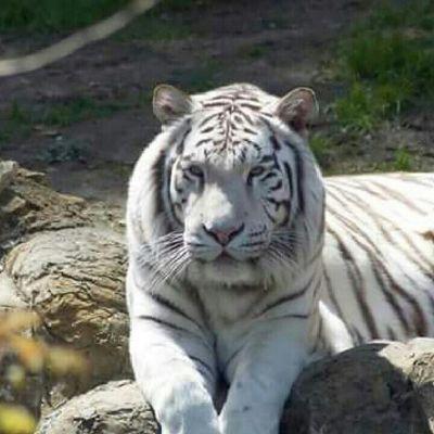 Profile Picture of Paul Hinks (@phinks250) on Twitter