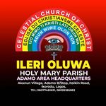 Profile Picture of Celestial Church Ìléríoluwaholymary Adamo (@cccilerioluwa_holymary_adamo) on Instagram