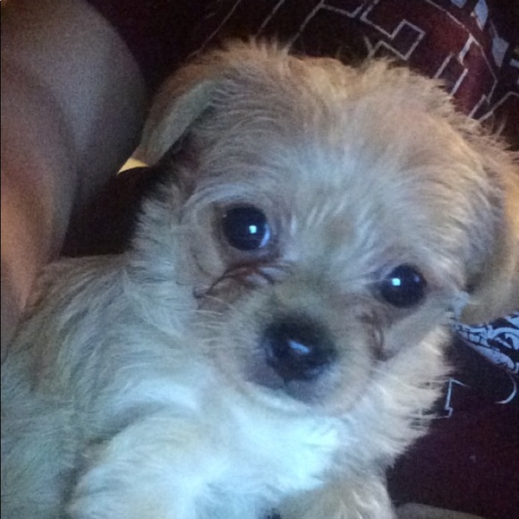 Profile Picture of Mable Nickles (@mnickles1) on Poshmark