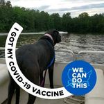 Profile Picture of Chris Brockwell (@phclkg) on Instagram